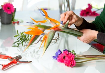 Morning Craft Workshop