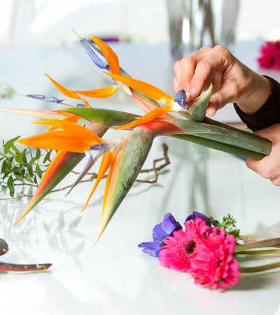 Join Us – Workshop August 7th (Flower Arranging)