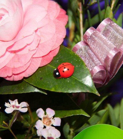 Join us Friday February 19th 2016 (Flower Arranging)