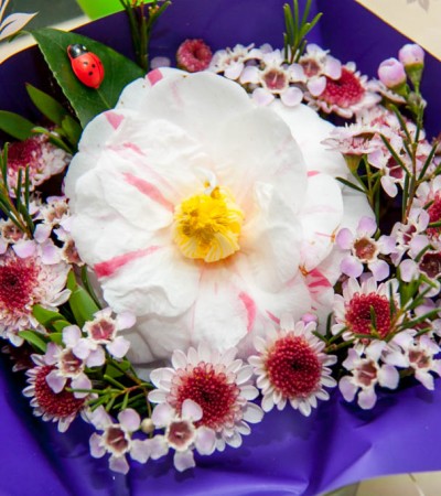 Join Us Friday October 23rd 2015 (Floral Arranging) Workshop